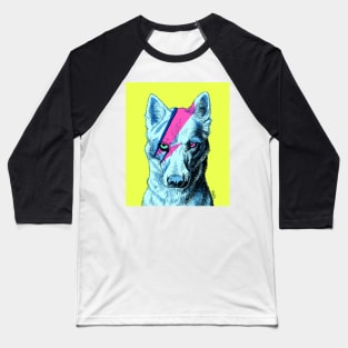 Bow-wow-Bowie 2 Baseball T-Shirt